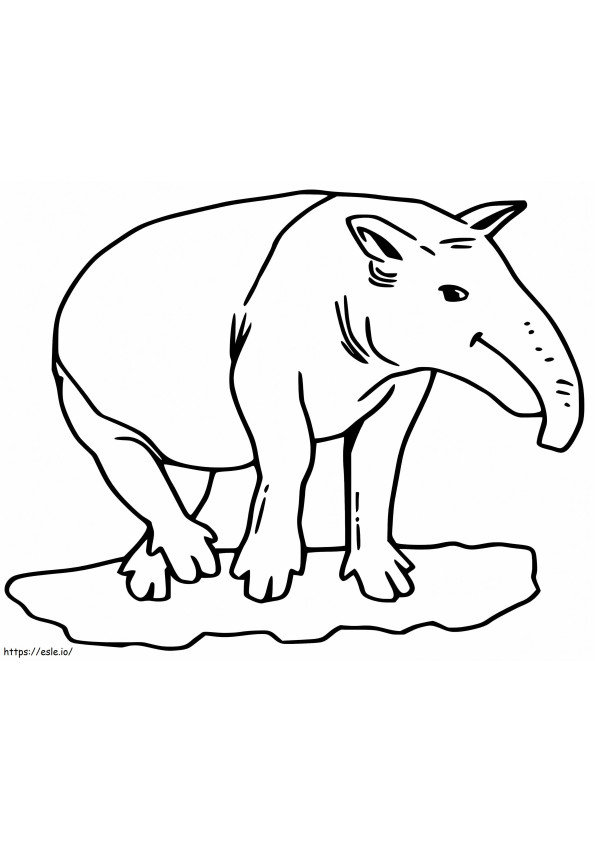Coloriage Tapir 1 à imprimer dessin