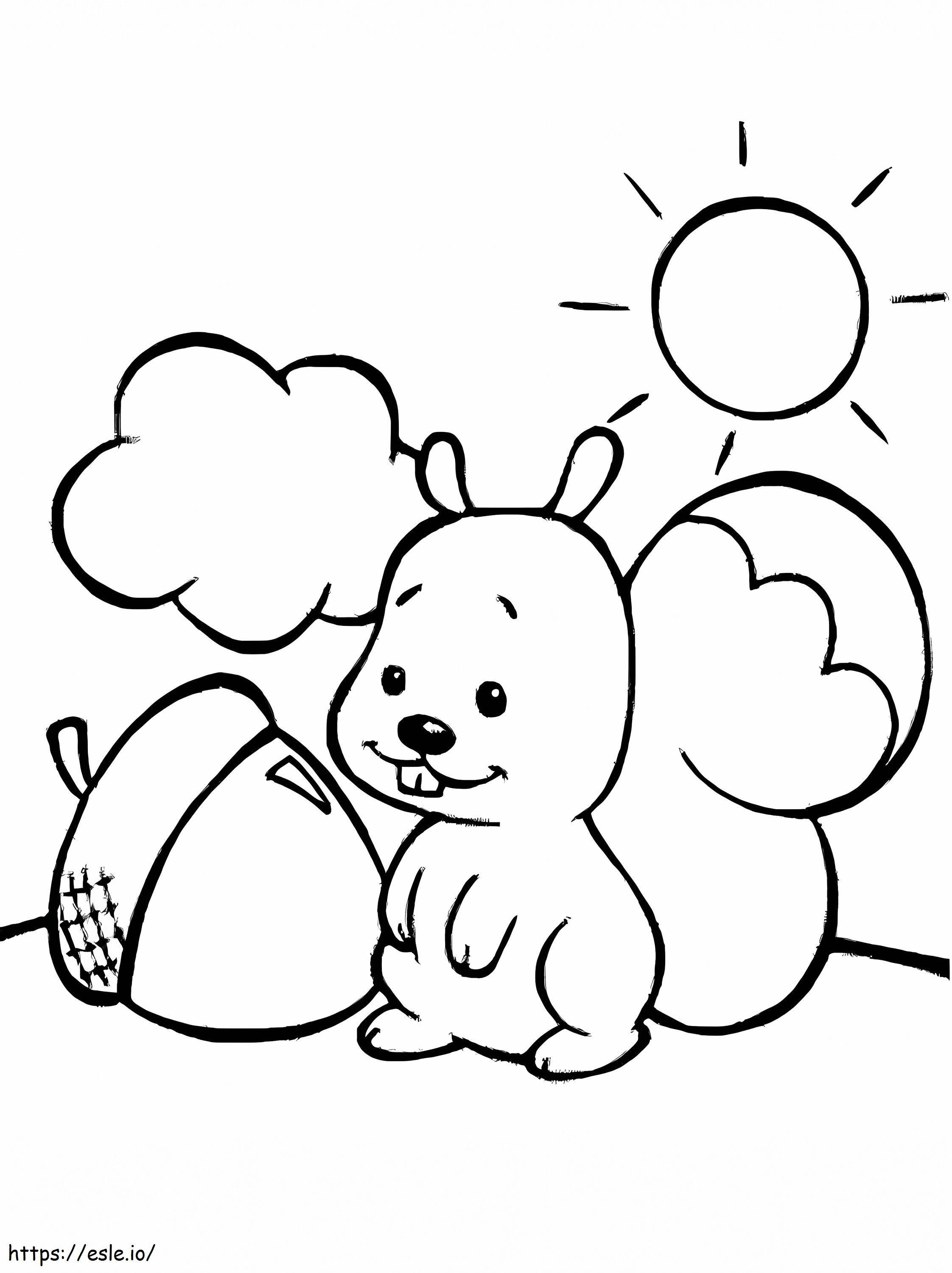 Squirrel And Acorn coloring page