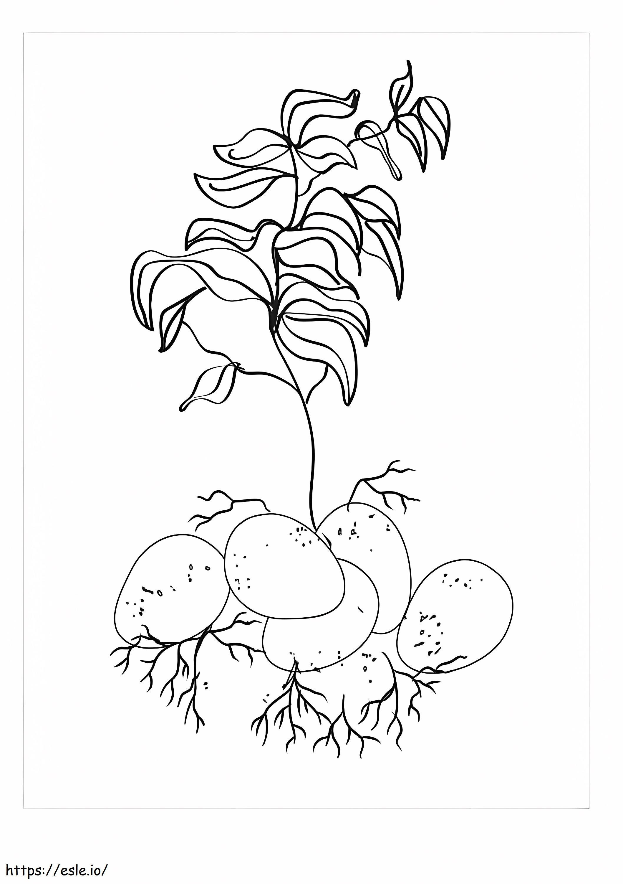 Basic Tree Potatoes coloring page
