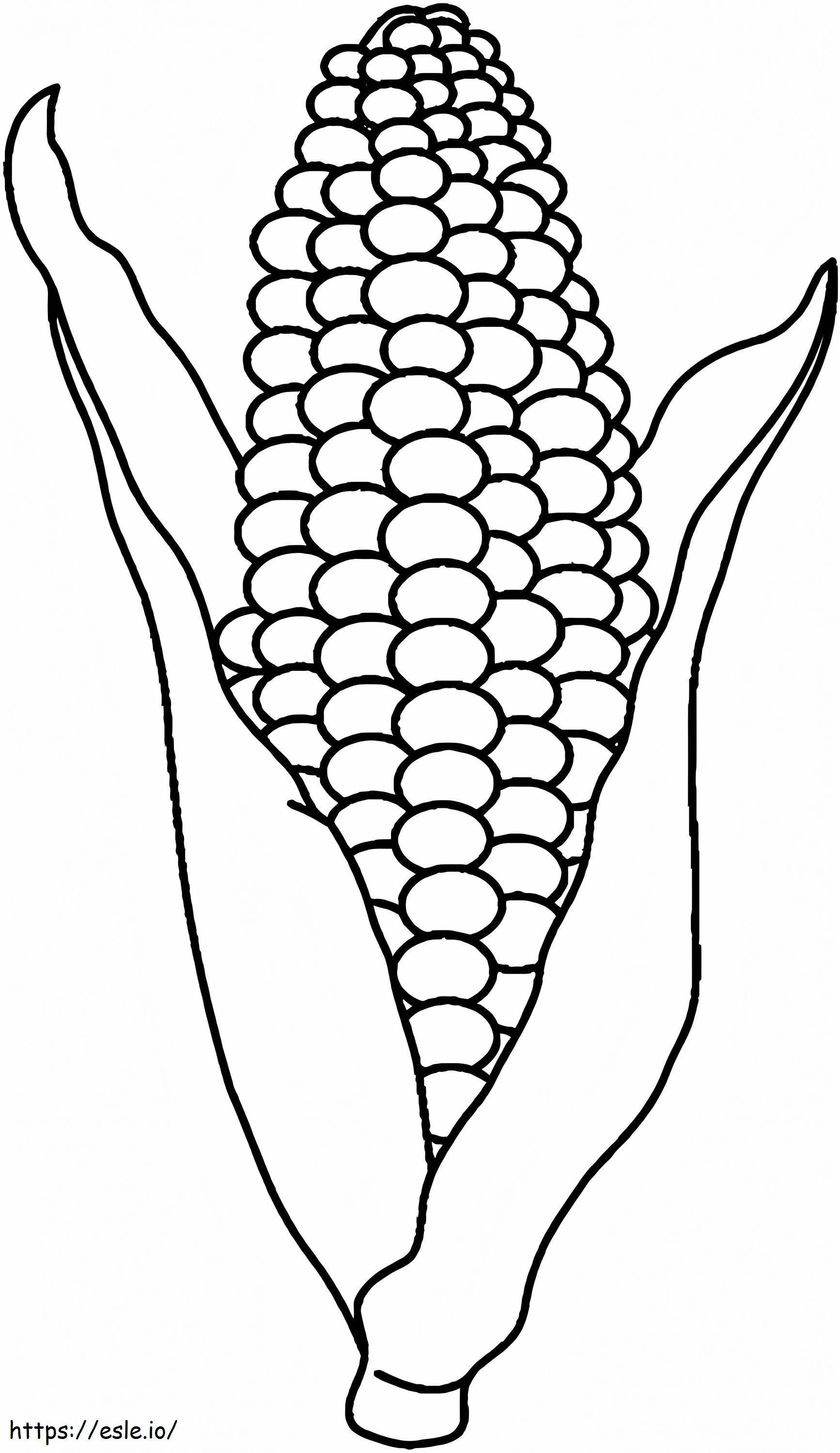 Basic Corn coloring page