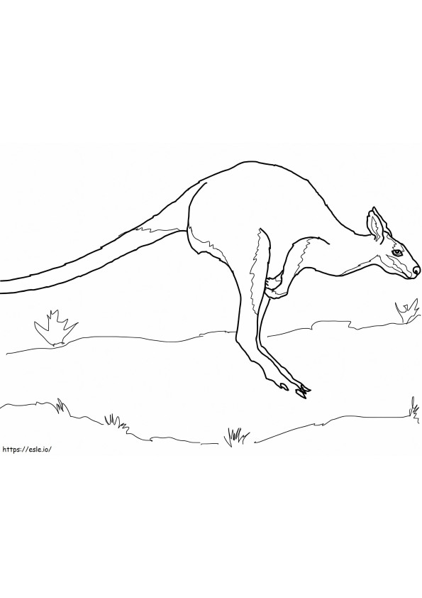 Coloriage Wallaby sautant à imprimer dessin