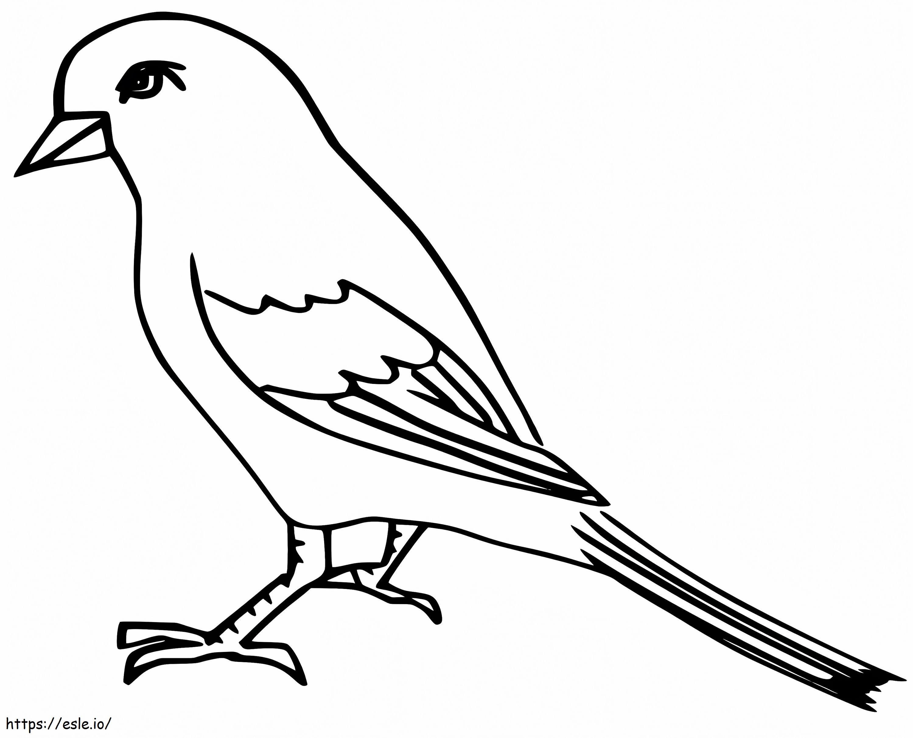 Sparrow 2 Coloring Page for Kids | Free Printable PDF