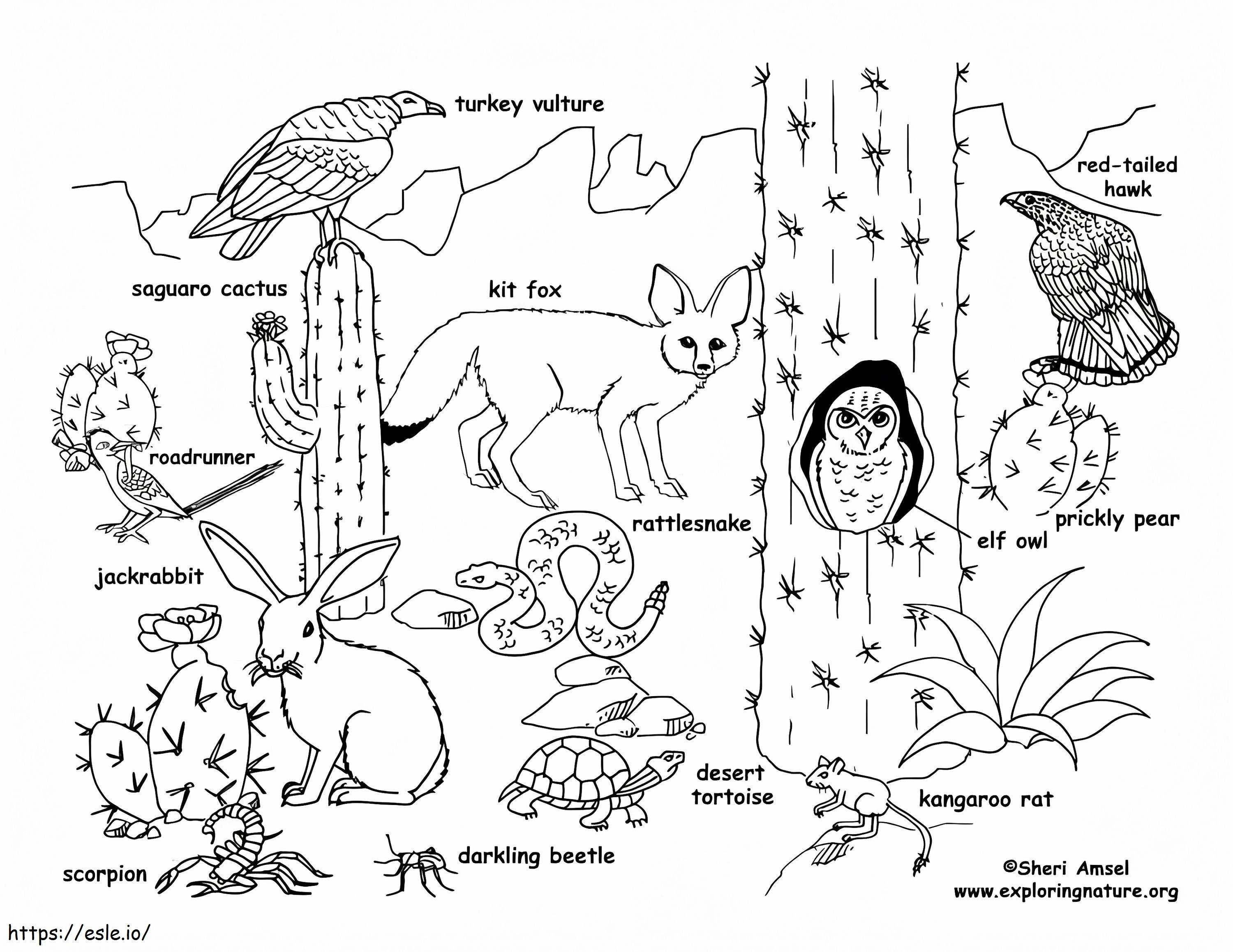 Desert Animals 1 coloring page