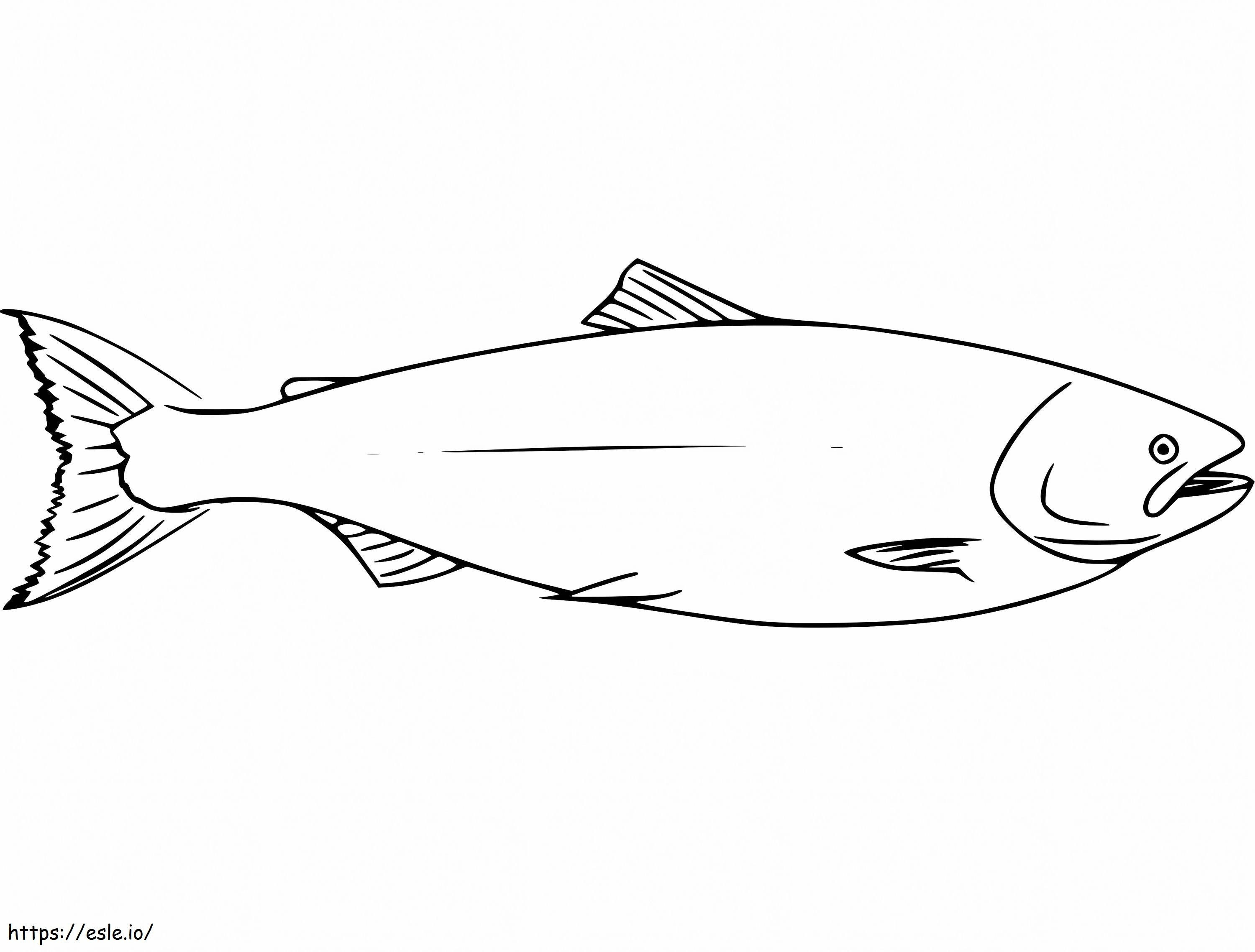 Normal Salmon coloring page