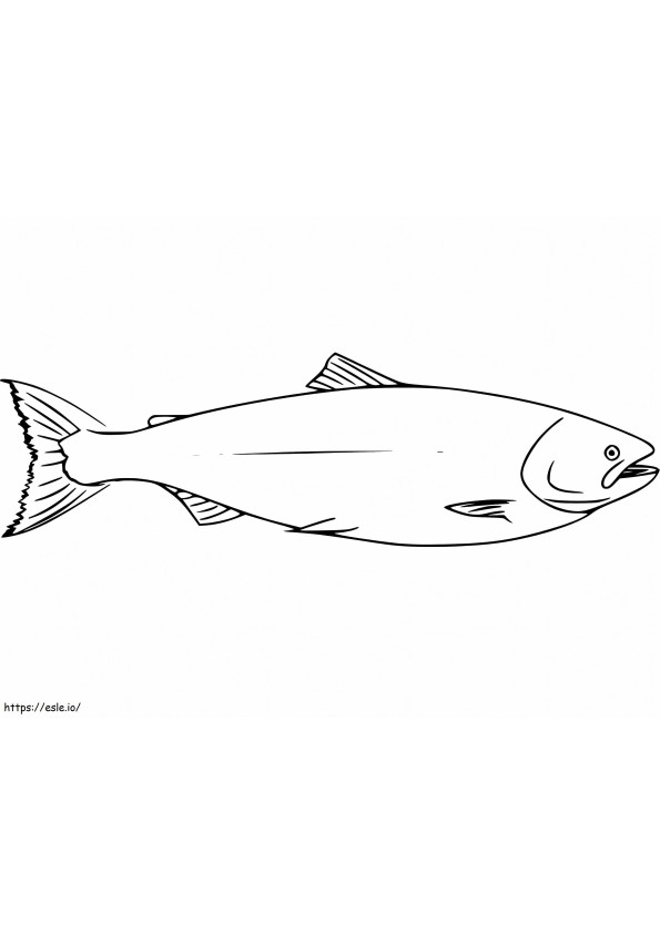 Normal Salmon coloring page