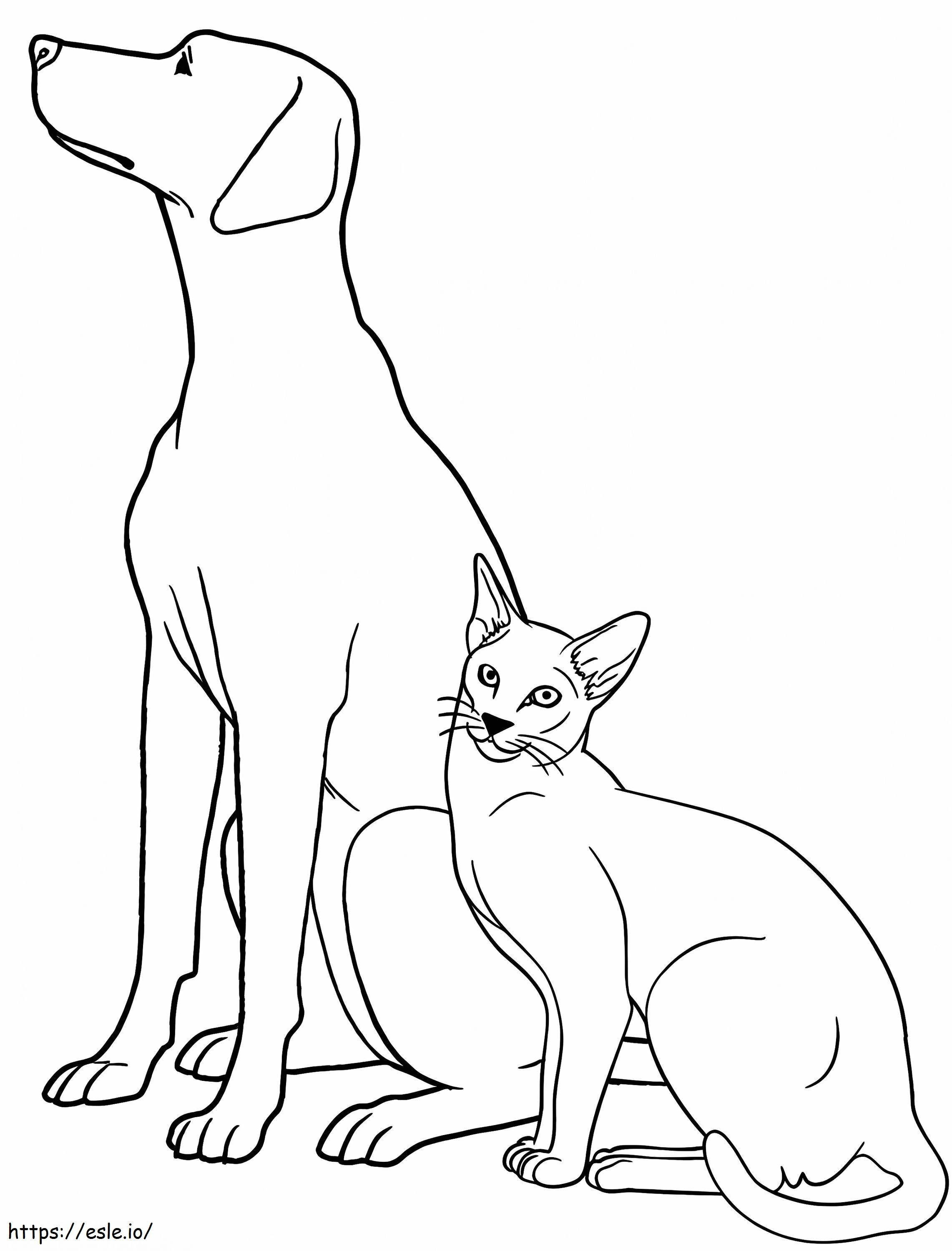 Coloriage Chien et chat pour les enfants à imprimer dessin