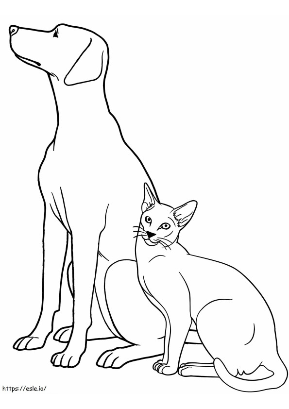 Hond en kat voor kinderen kleurplaat