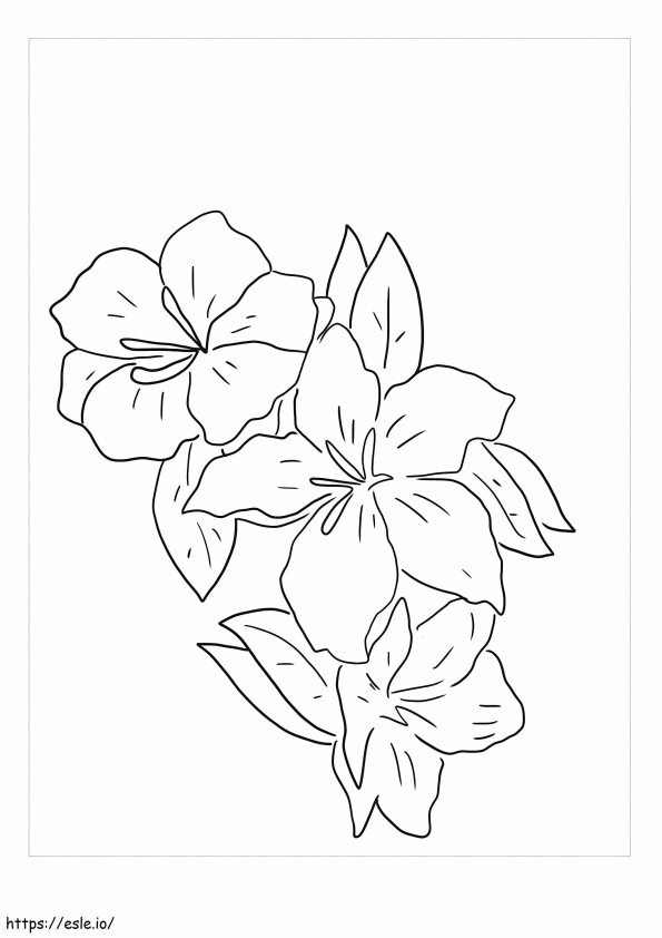 Gardenia yang menakjubkan Gambar Mewarnai