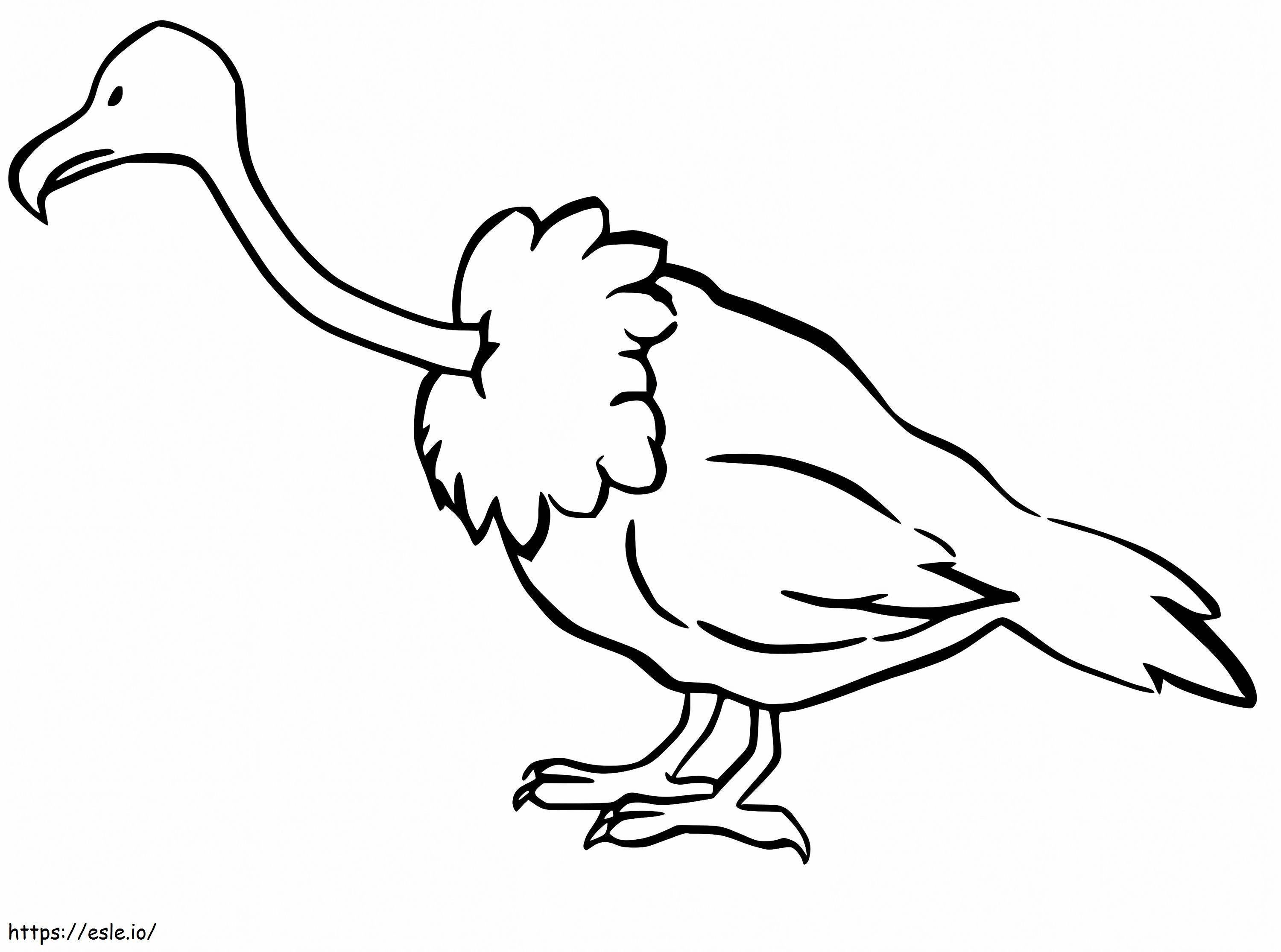 L'Avvoltoio di Ruppell da colorare