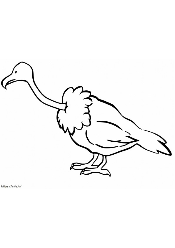 Ruppell'S Vulture coloring page