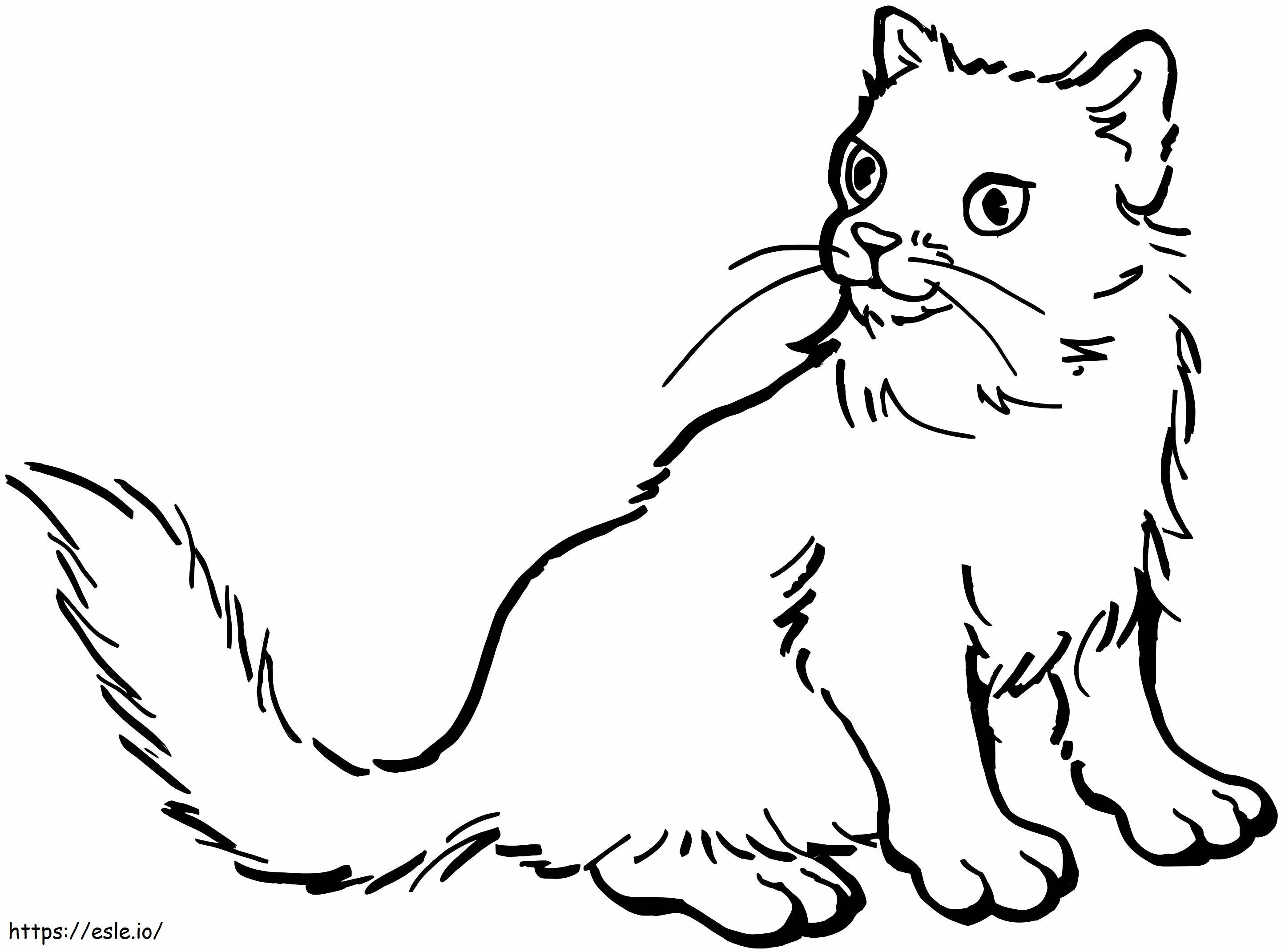 Cute Cat coloring page