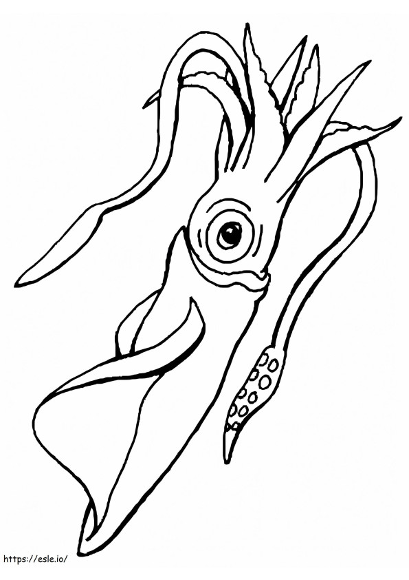 Good Squid coloring page
