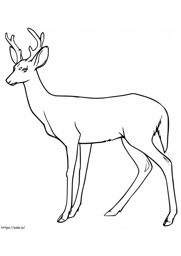 Red Deer 1 coloring page