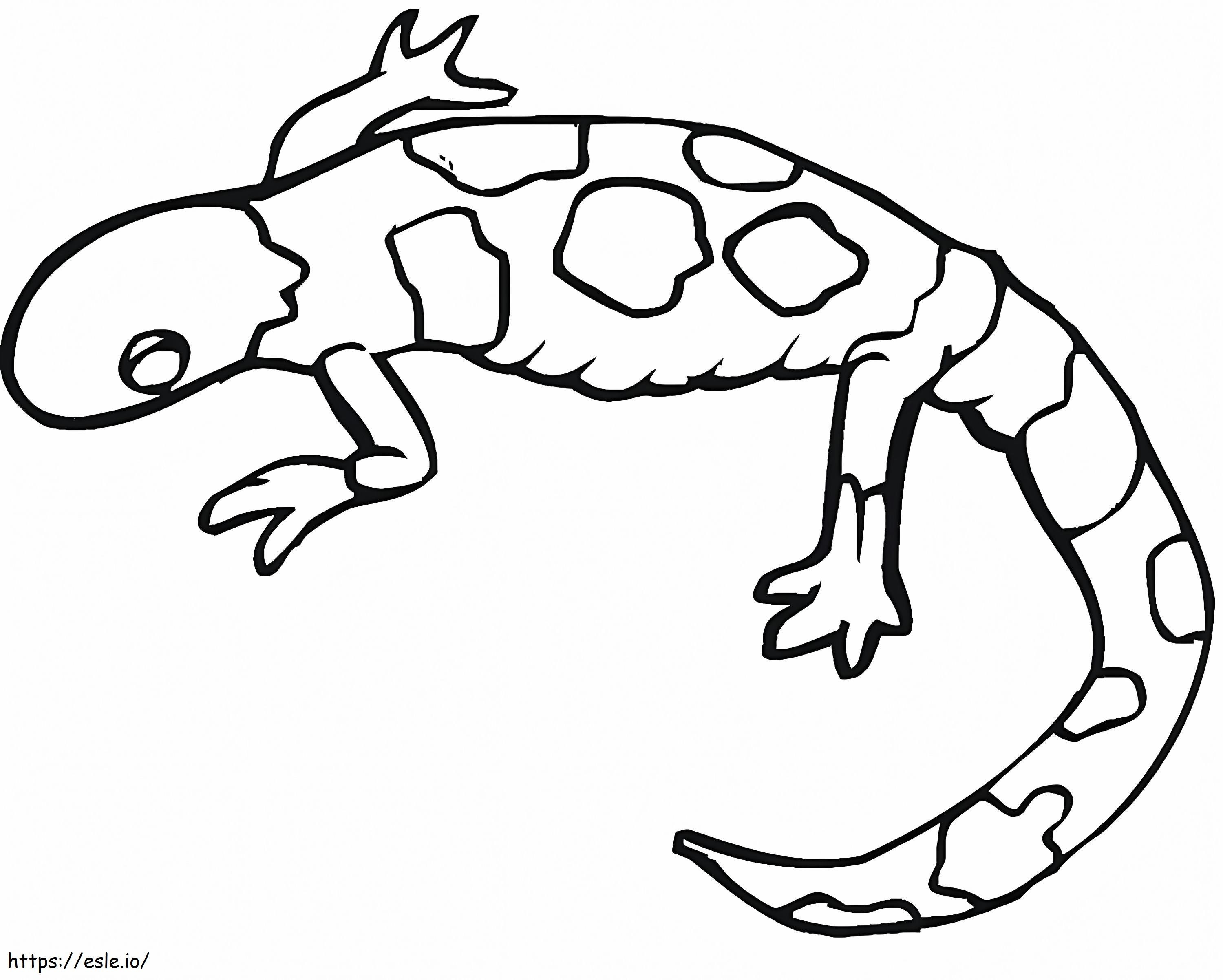 Salamander 7 kleurplaat kleurplaat