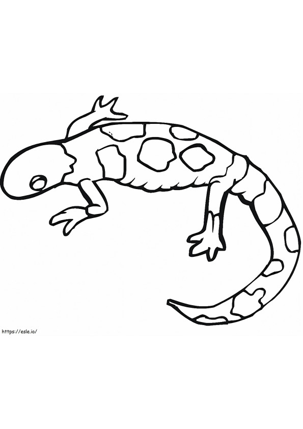 Salamander 7 kleurplaat