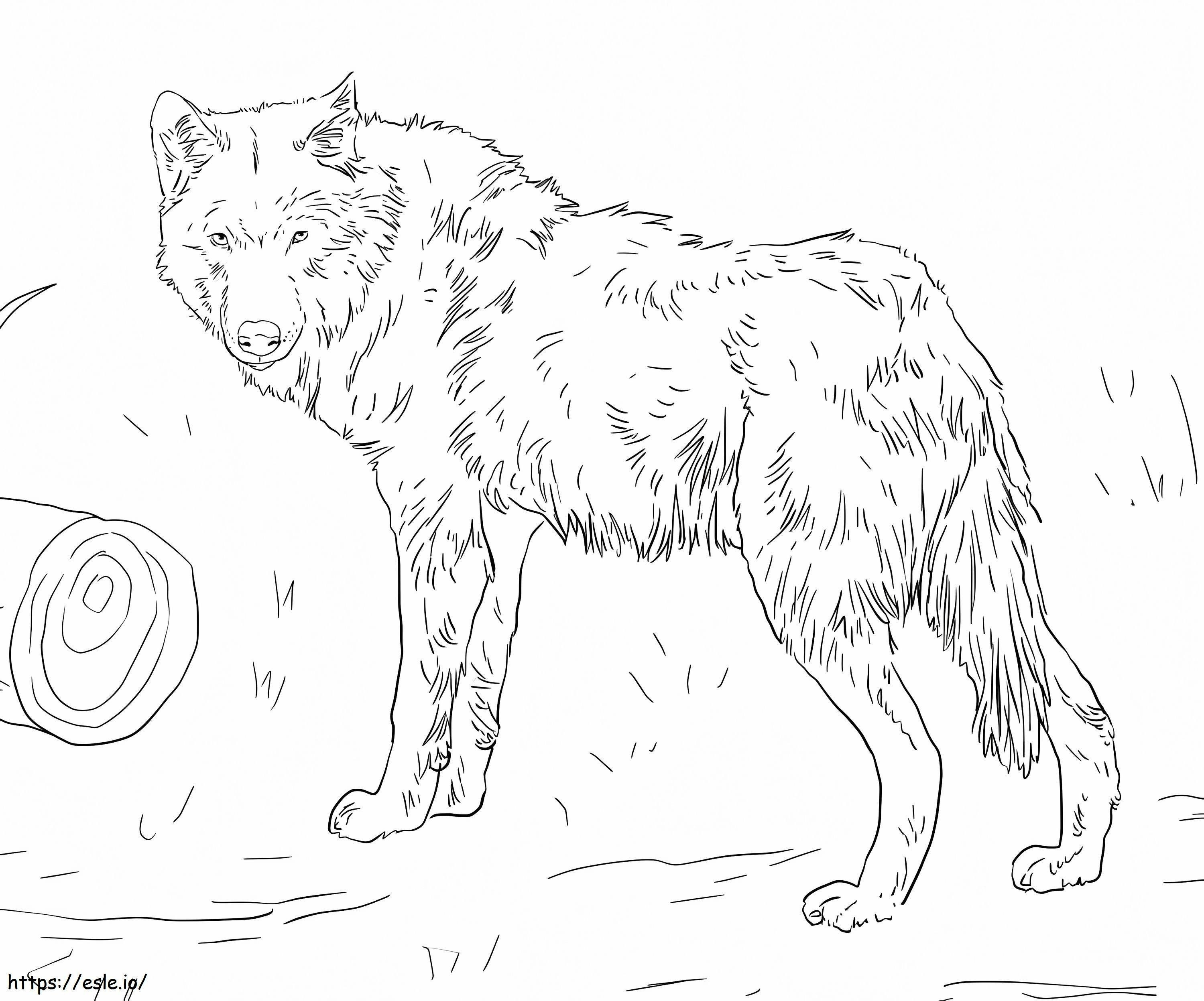 Coloriage Loup eurasien à imprimer dessin