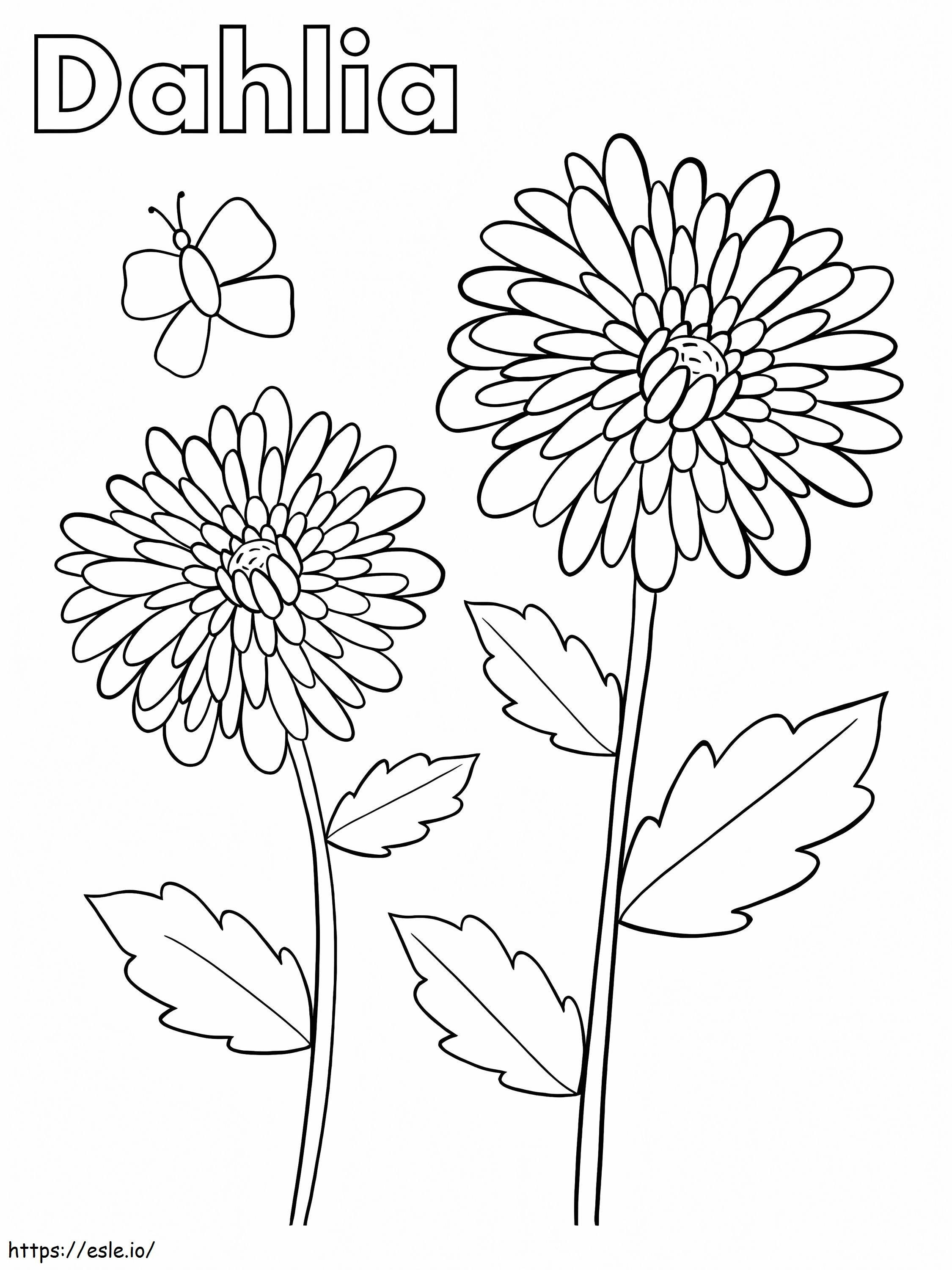 Dahlia kukat värityskuva