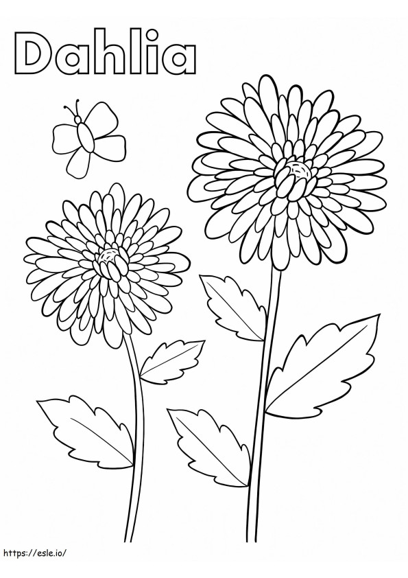 Dahlia-bloemen kleurplaat