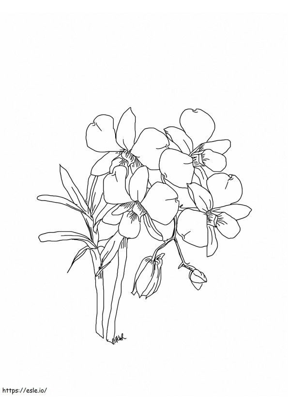 Coloriage Imprimer Fleur d'Orchidée à imprimer dessin