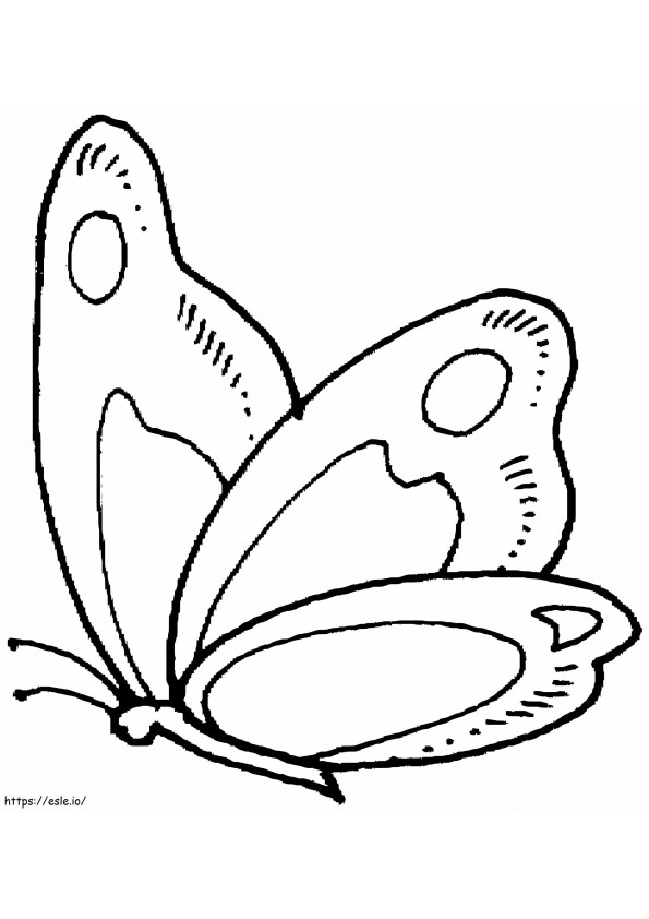 Pillangó Színre kifestő
