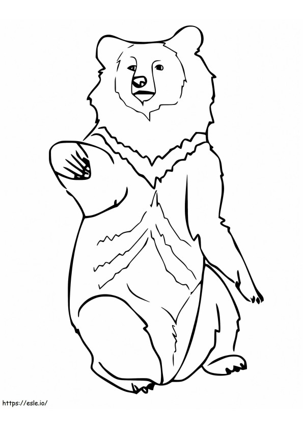 Free Printable Black Bear coloring page