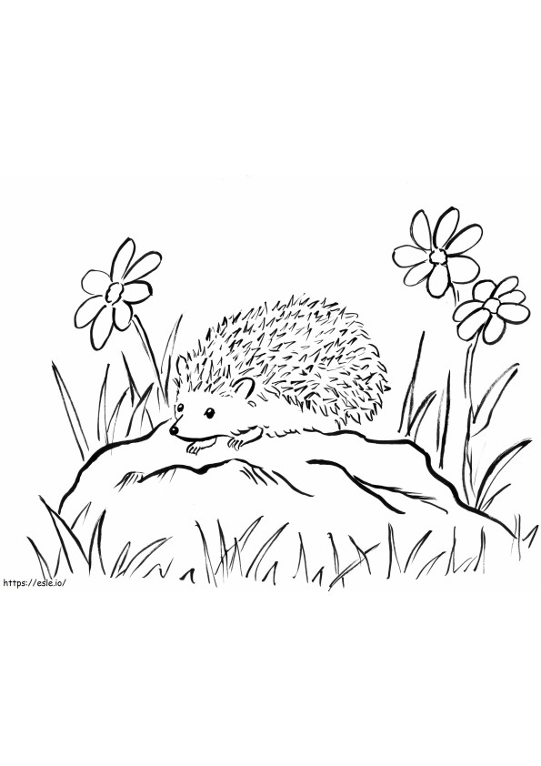 Hedgehog On The Rock värityskuva
