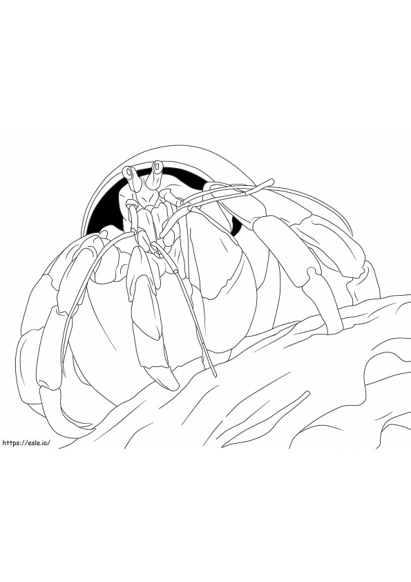Hermit Crab 2 coloring page