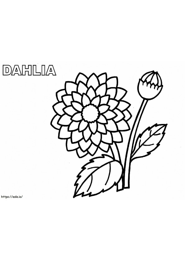 Coloriage Fleur de Dahlia facile à imprimer dessin