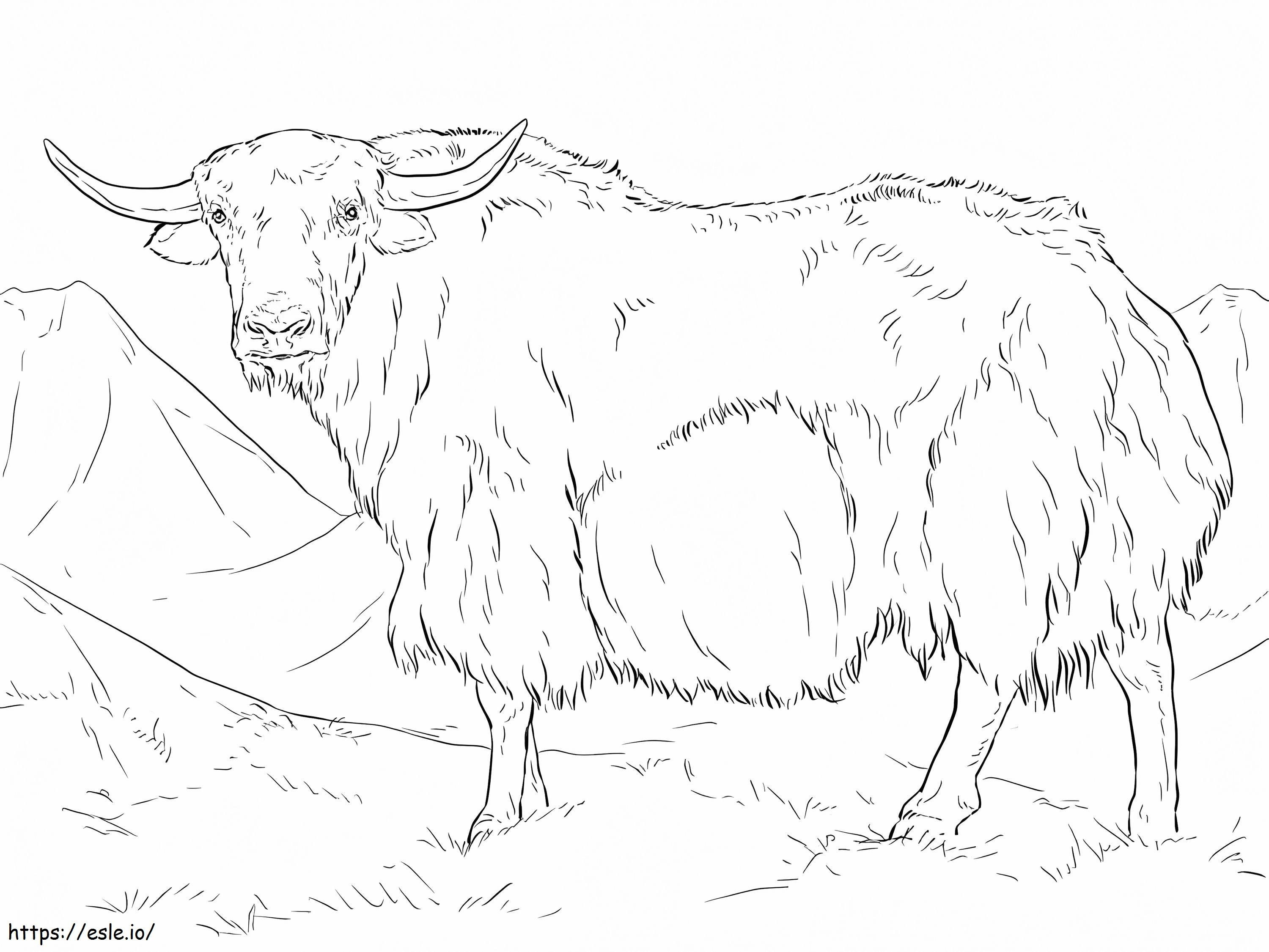 Yak From India coloring page
