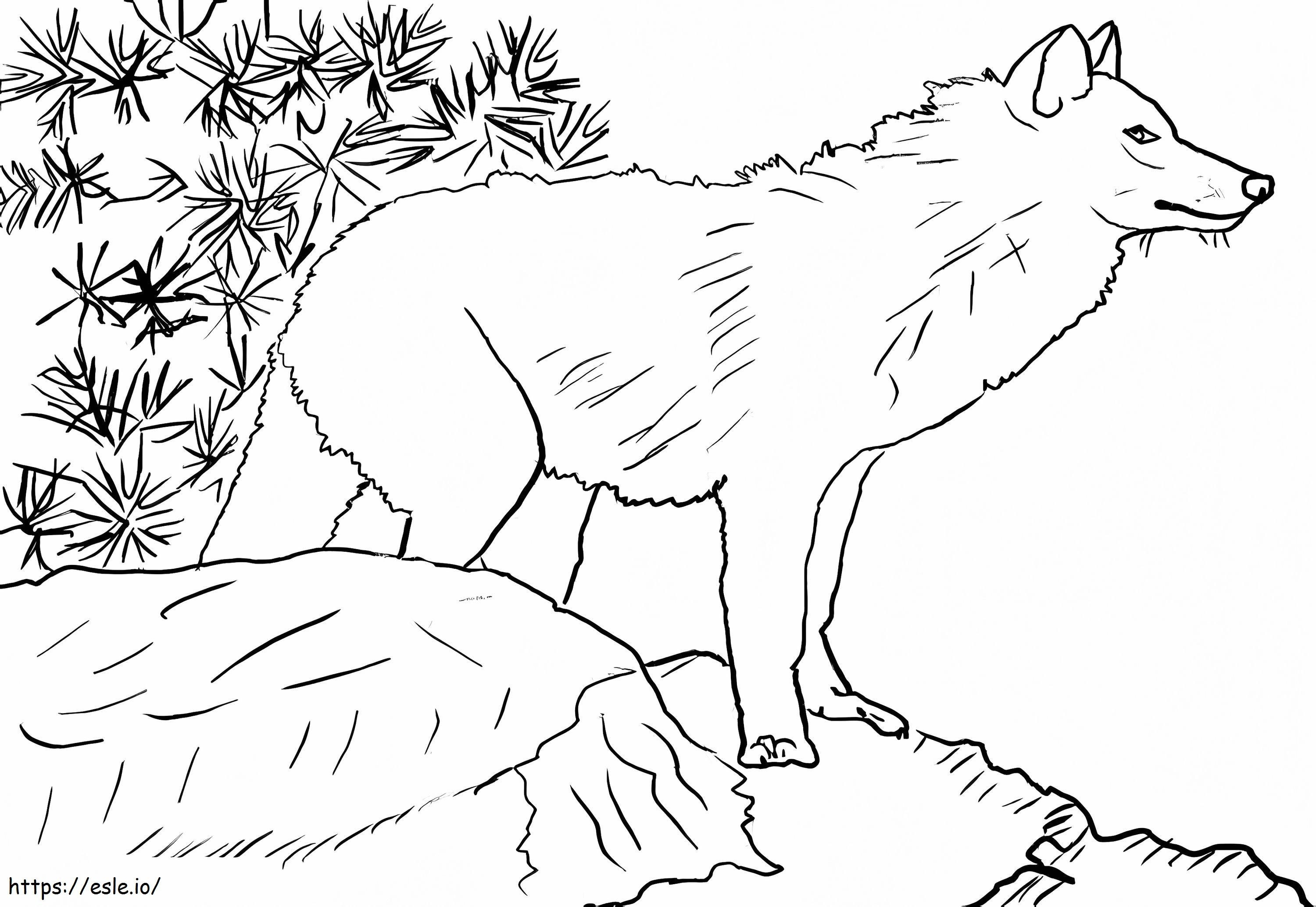 Free Printable Wolf coloring page