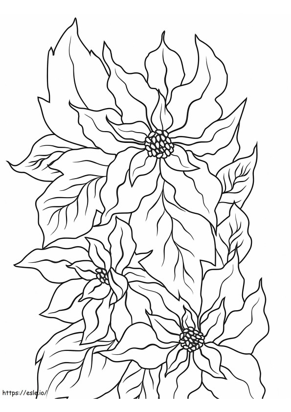 Printable Poinsettia coloring page