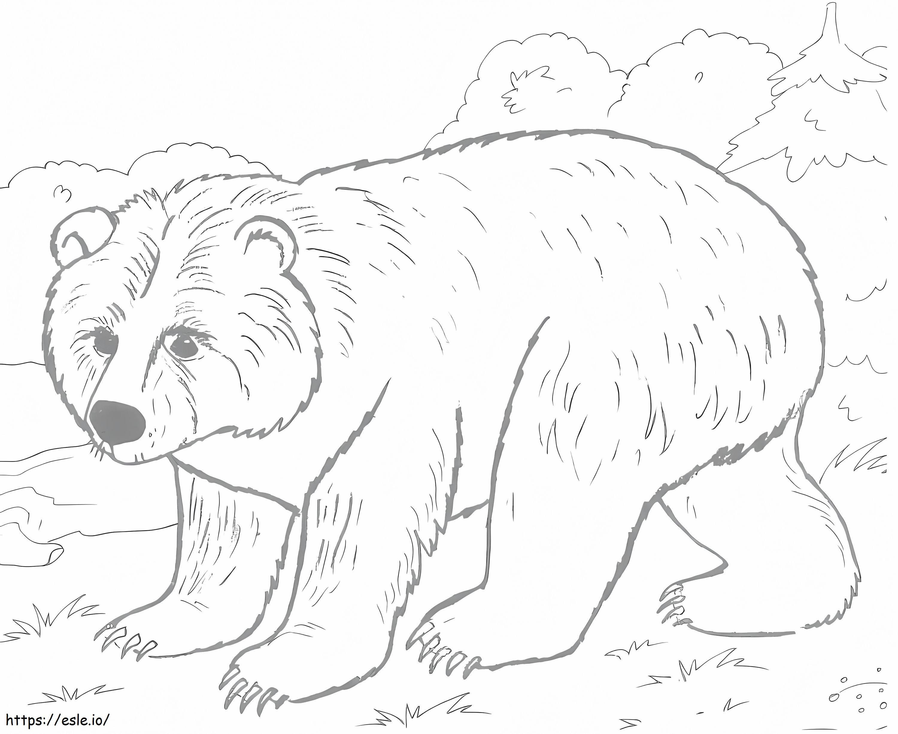 Urso Marrom 4 para colorir