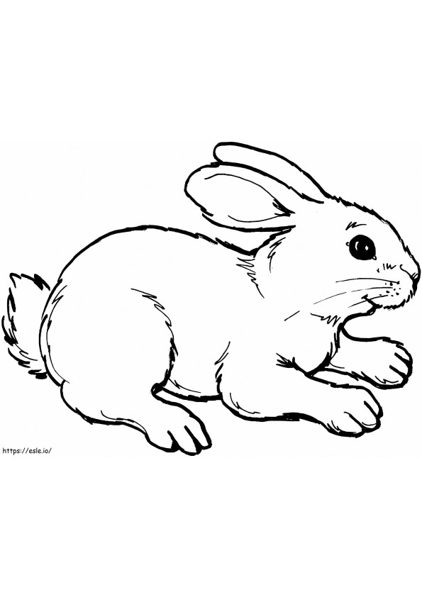 adorable conejo para colorear