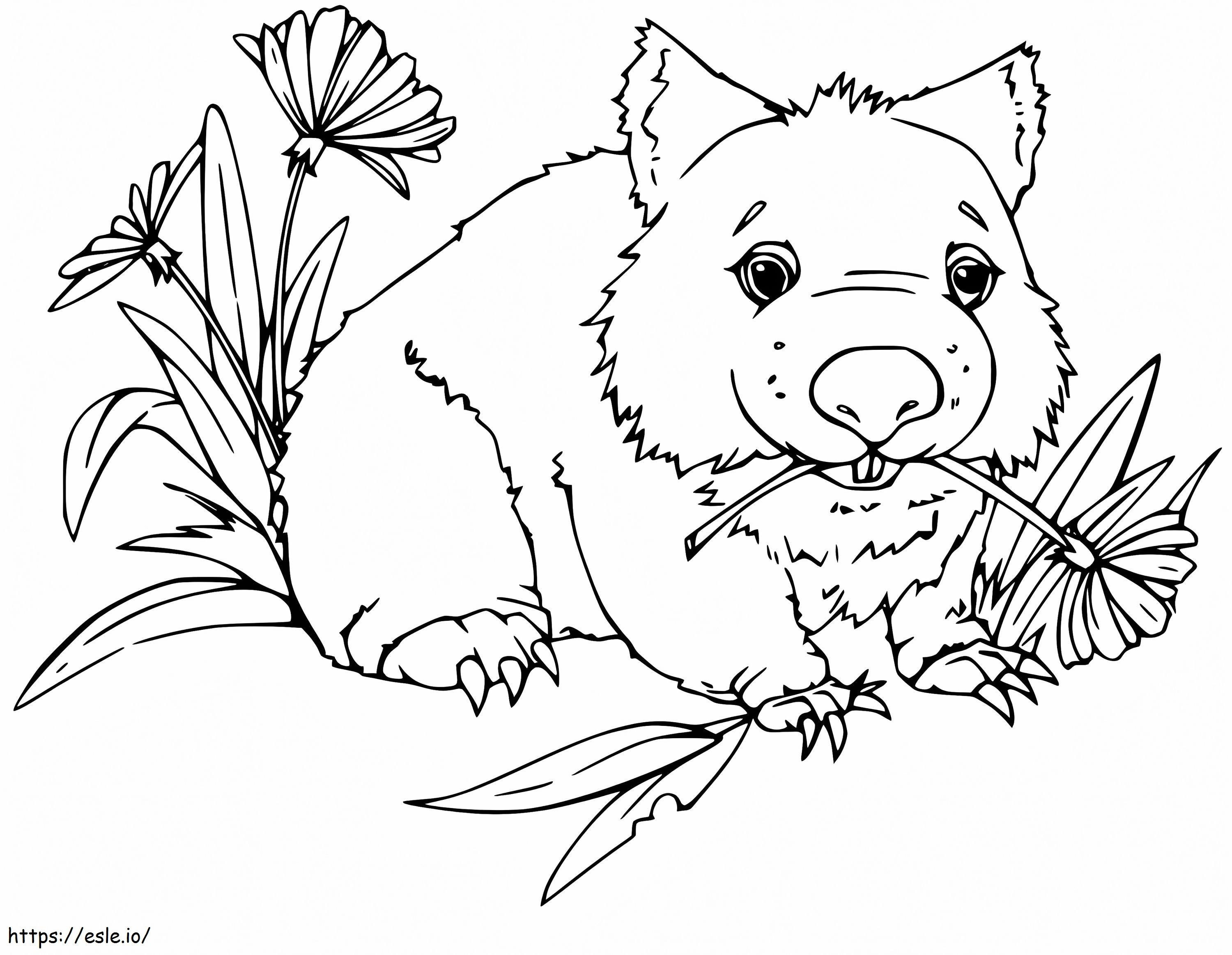 Wombat amuzant de colorat