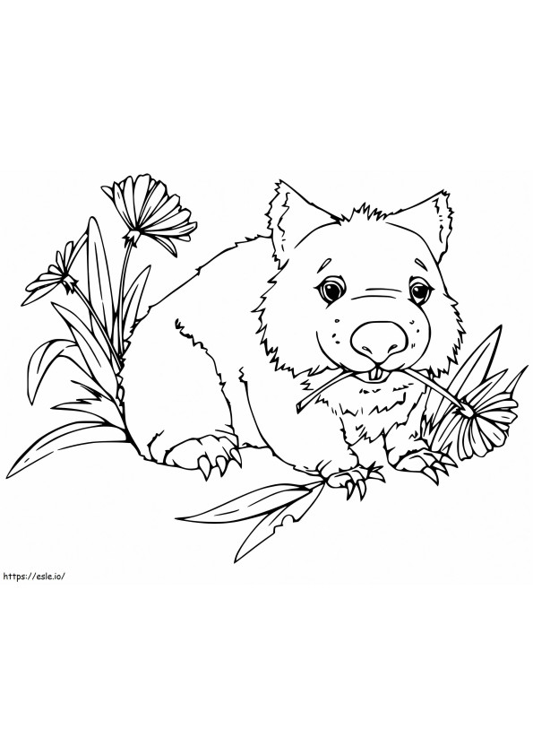Coloriage Wombat drôle à imprimer dessin