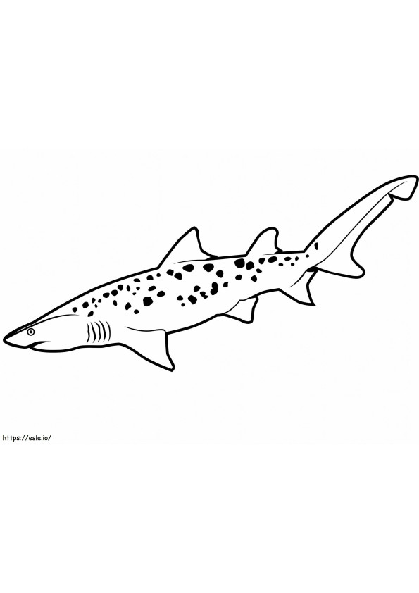 Tubarão Tigre de Areia para colorir