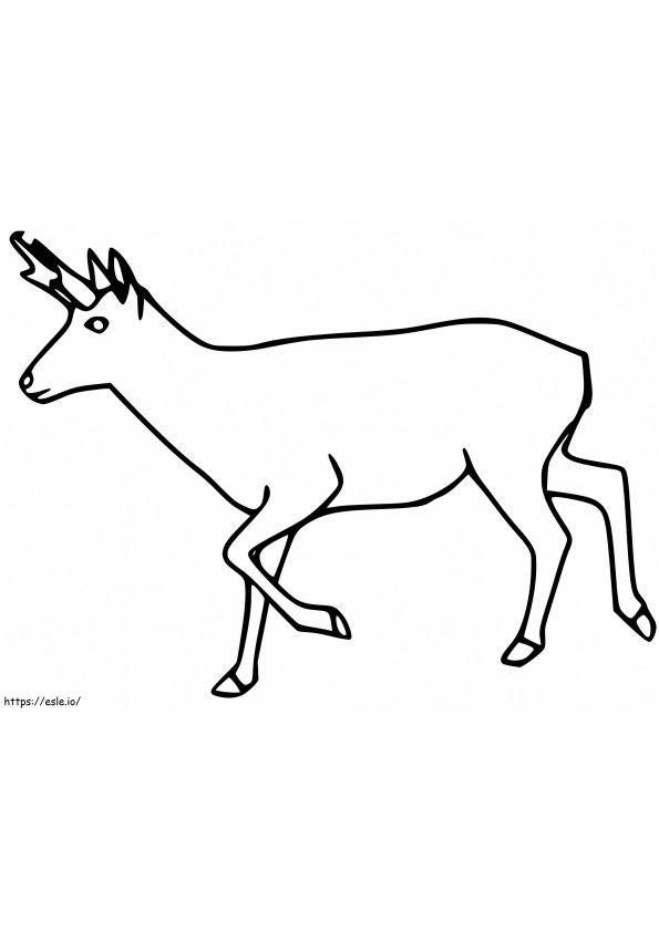 Pronghorn Running coloring page