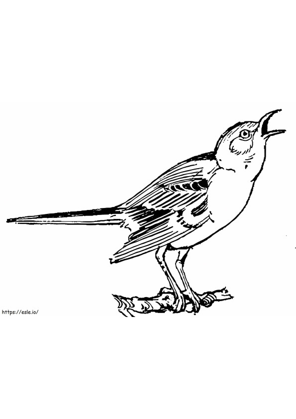 Great Nightingale coloring page