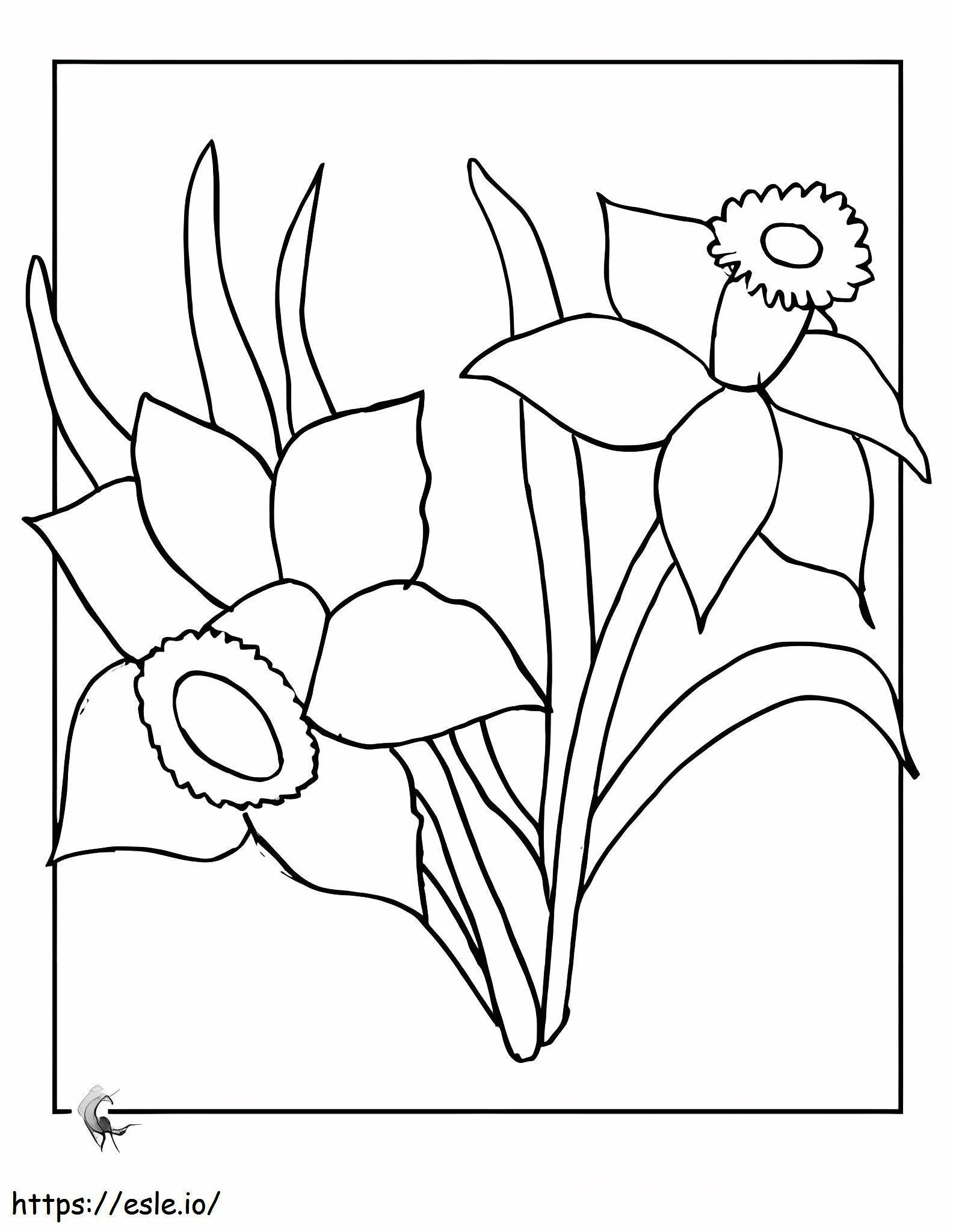 Coloriage Narcisse étonnant à imprimer dessin