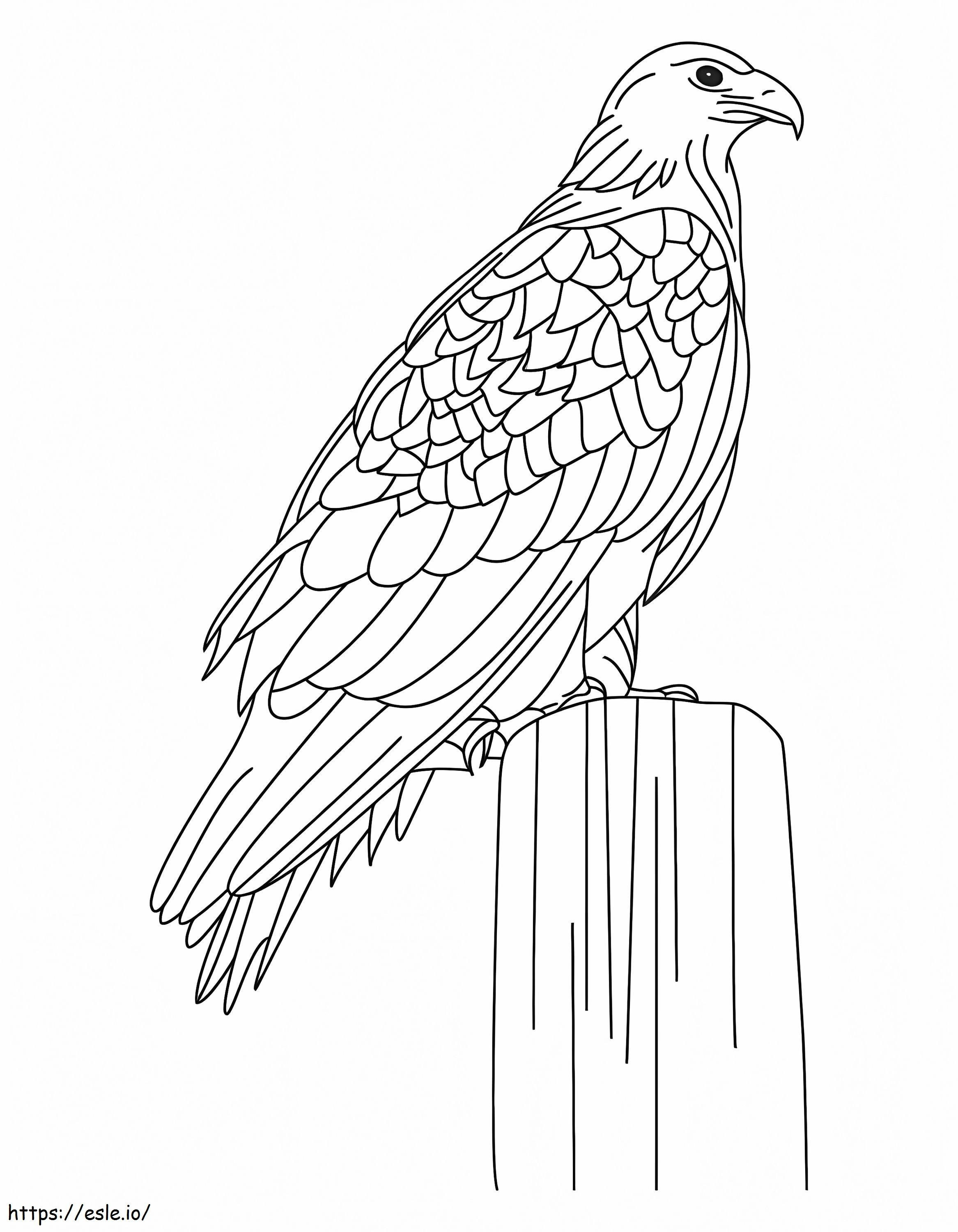 Página para colorir da águia localizada para colorir
