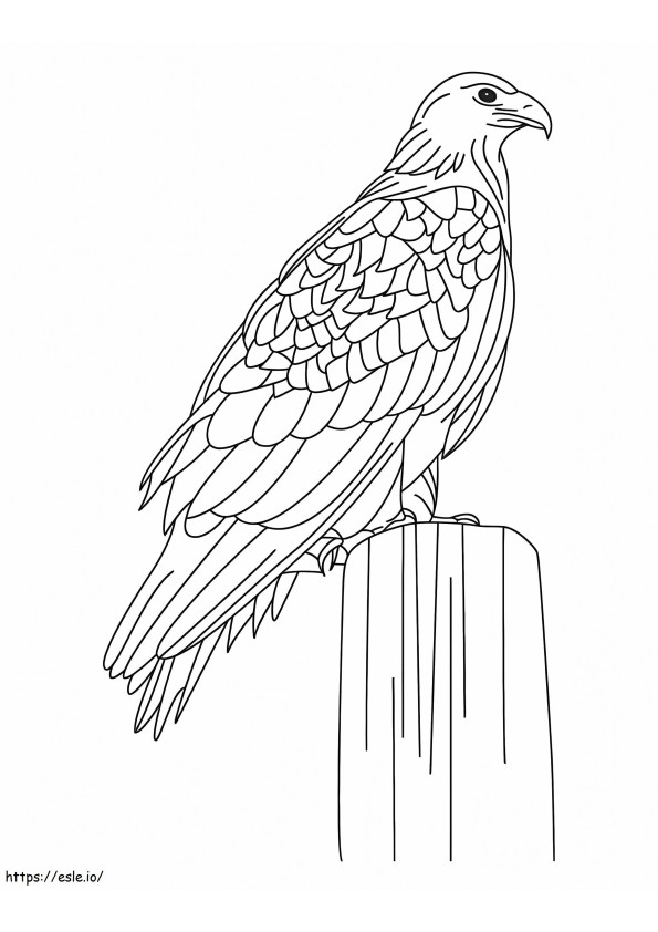 Siting Eagle Coloring Page coloring page