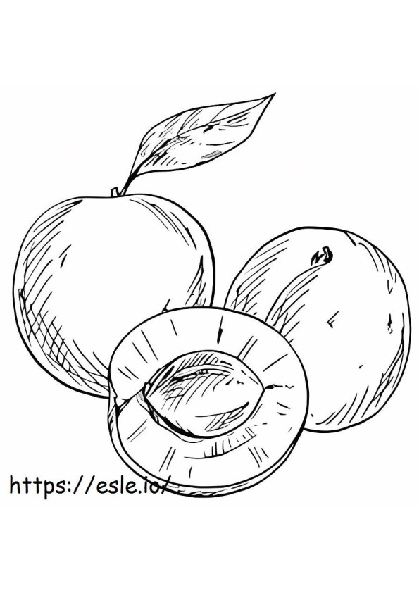 Zeichnung von drei Aprikosen ausmalbilder