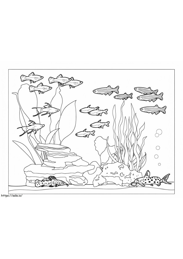 Coloriage Aquarium gratuit à imprimer dessin