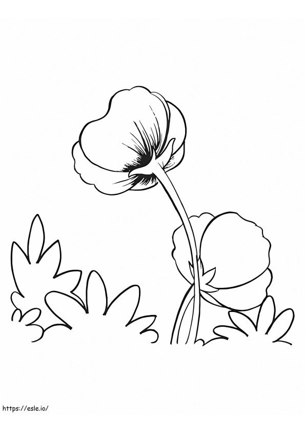 Two Poppies coloring page