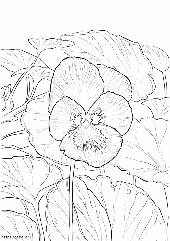 Coloriage Fleur violette à imprimer dessin