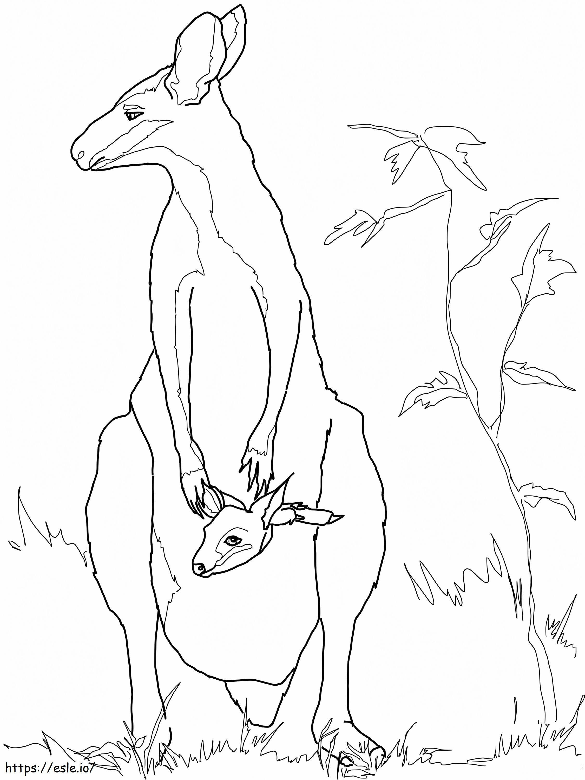 Mother Wallaby And Baby coloring page