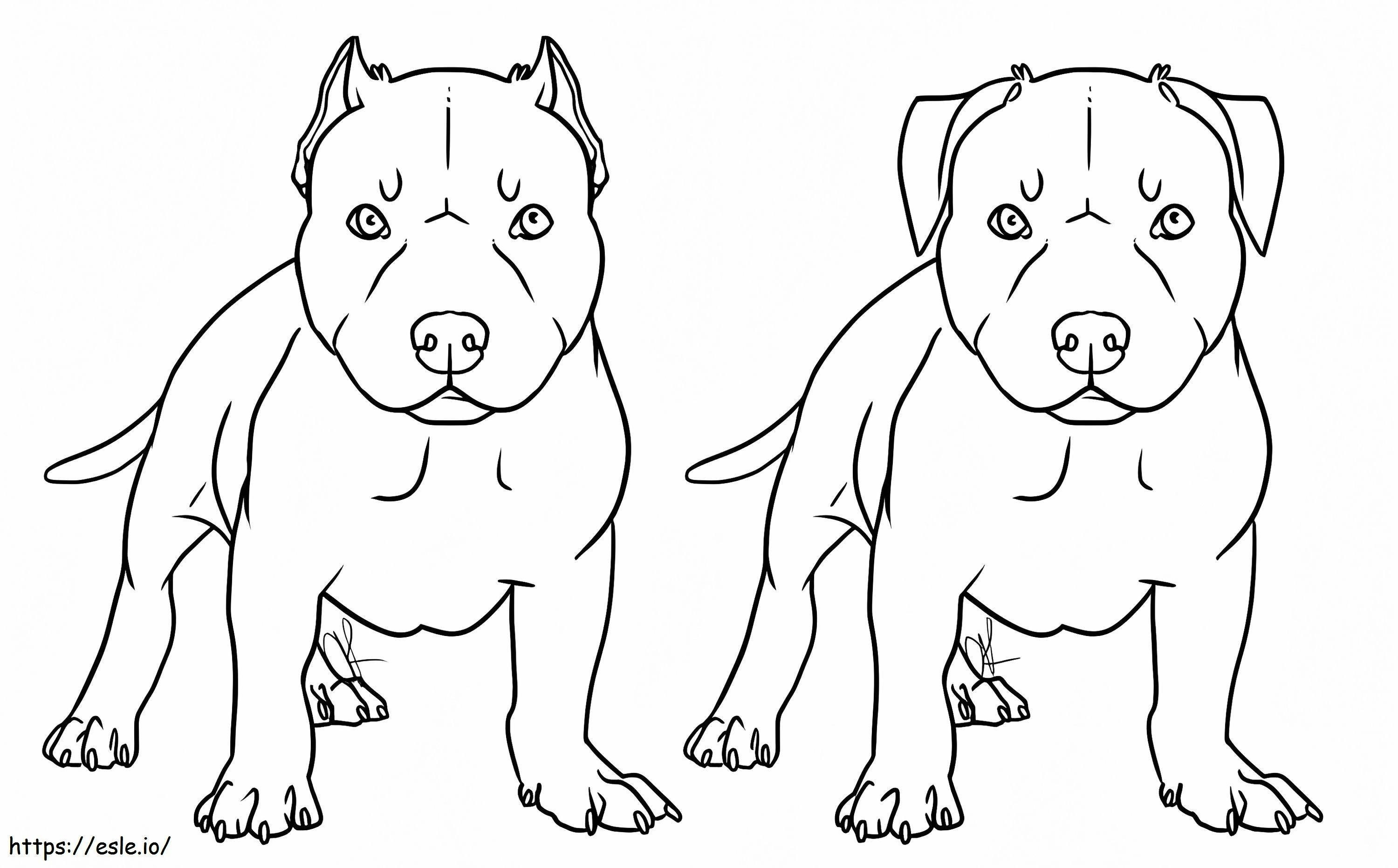 Pitbull-honden kleurplaat kleurplaat