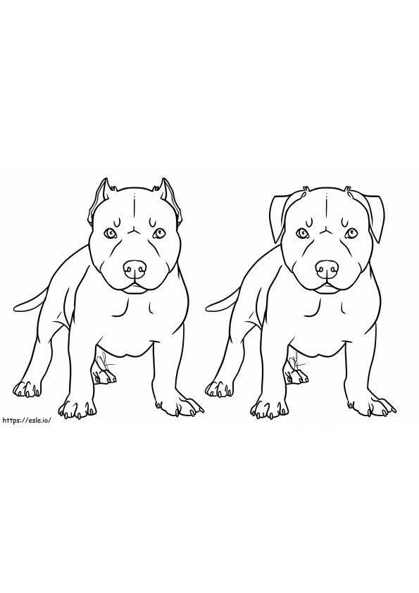 Pitbull Dogs coloring page