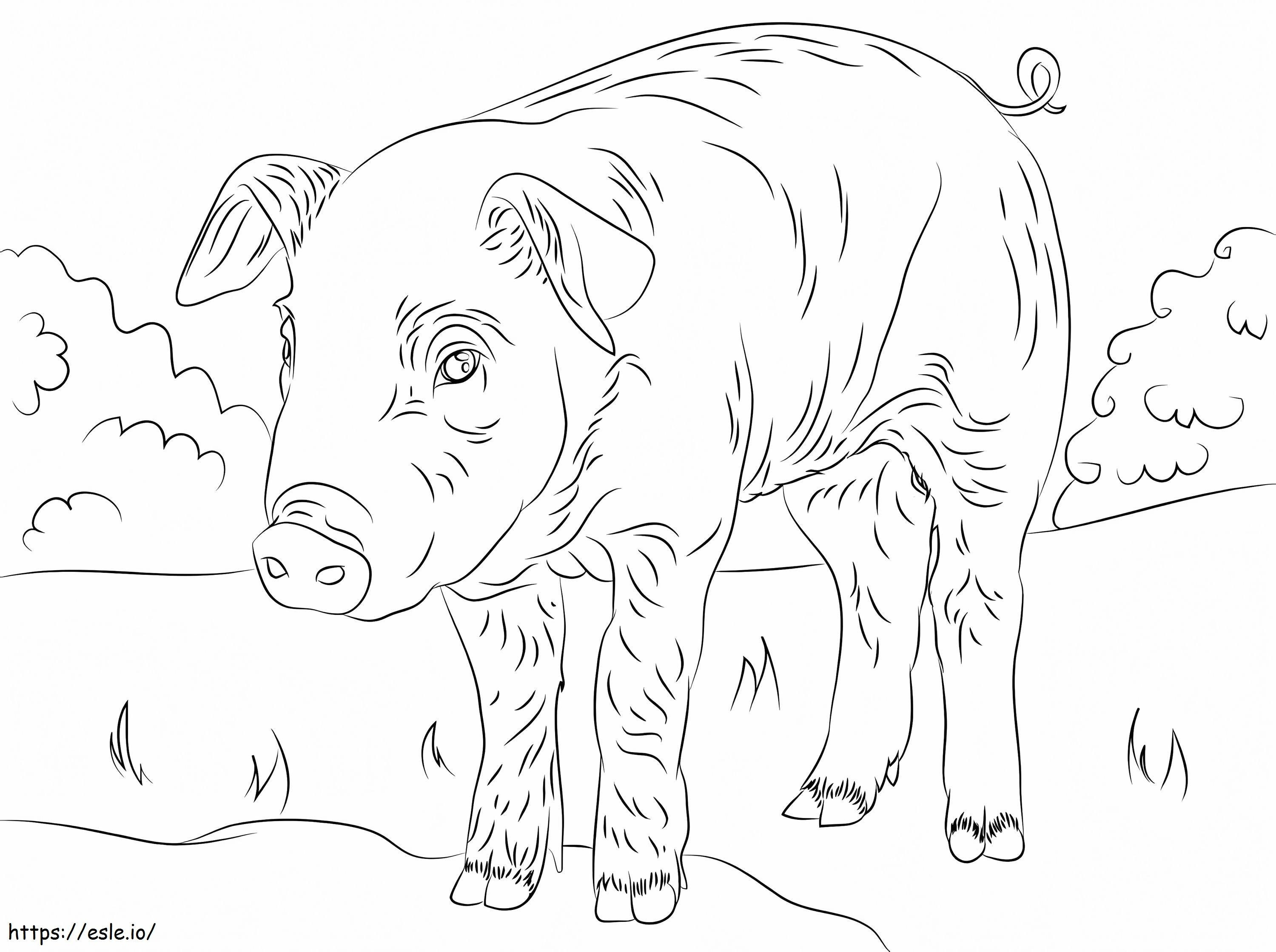 Cute Piglet coloring page
