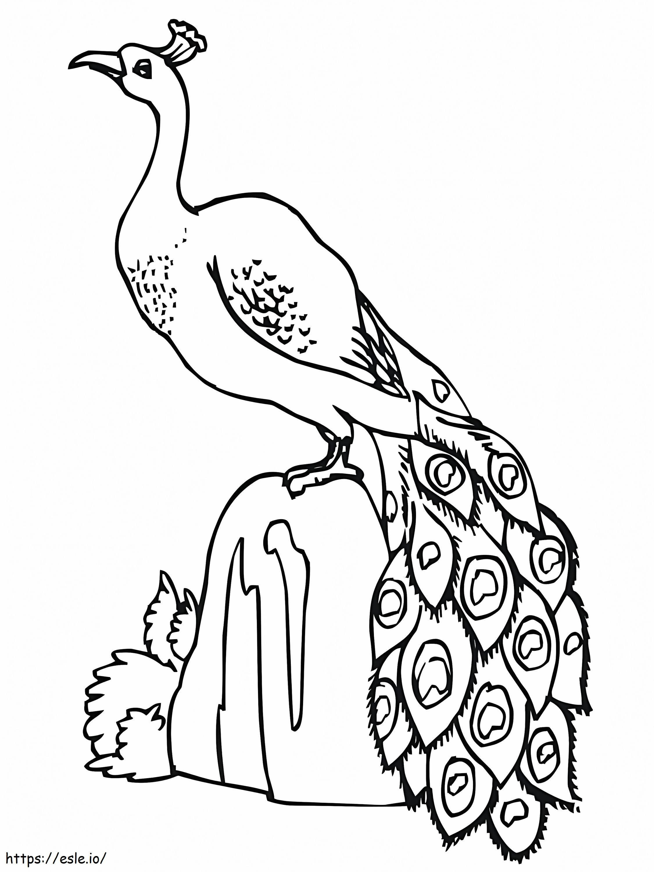 Peacock On A Rock coloring page